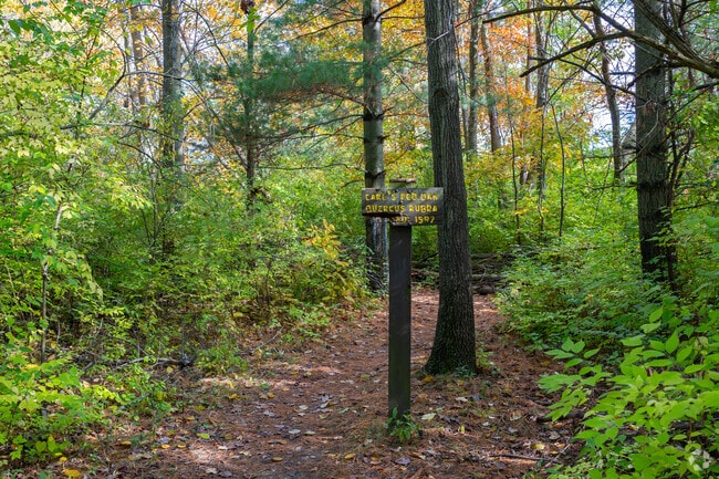 There is a walking trail in Mengerson Nature Preserve in the Centerhurst neighborhood.