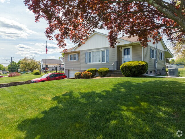Walking through Orange Lake, residents will see many blooming trees during spring, including Japanese Maple.
