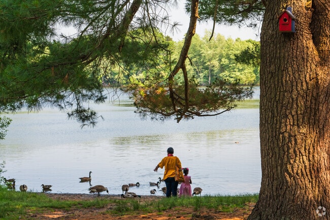 Turner’s Pond offers a peaceful escape in Milton Hill, where residents enjoy scenic walks, wildlife views, and year-round natural beauty.