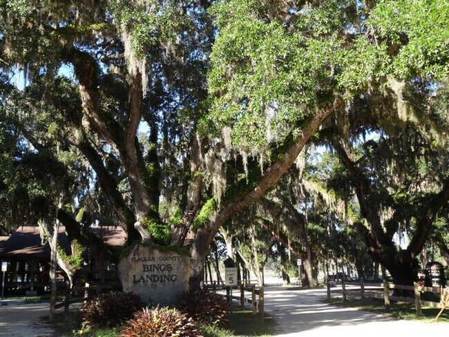 62 Ocean St unit ID1261617P, Palm Coast, FL 32137 - photo 3