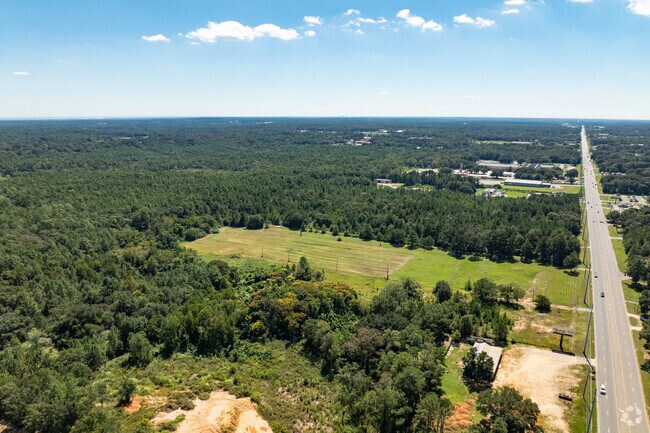 So many trees in the lovely Ferry, Alabama neighborhood.
