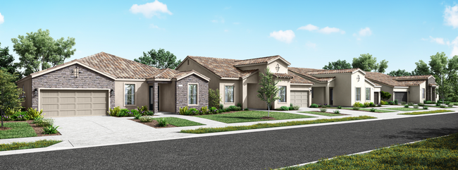 Marcona Preserve Rendering Streetscape