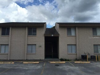 5502 Pokeweed Ct Unit C, Tampa, FL 33617
