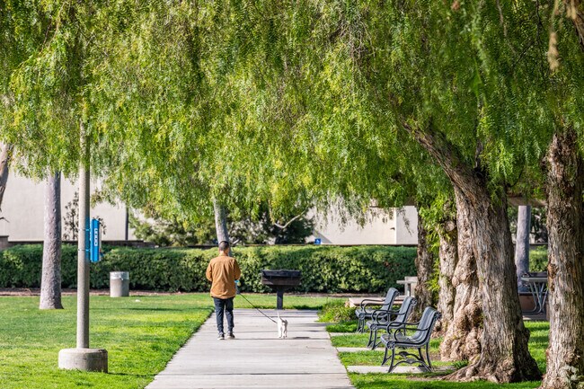 Residents can enjoy walking under the many trees the neighborhood offers.