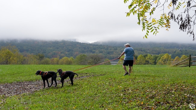 NH_Curtin_559189_P2_v1_120524