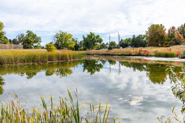 Marina Pointe is a quiet place to live with a serene duck pond in Wingate South Park.