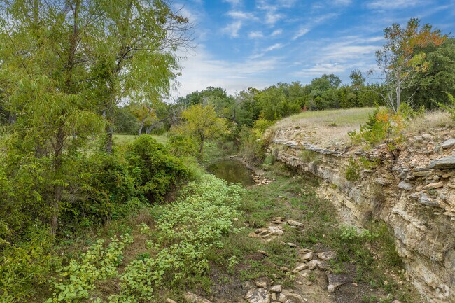 Greenery and nature are just around the corner in every Liberty Hill neighborhood.