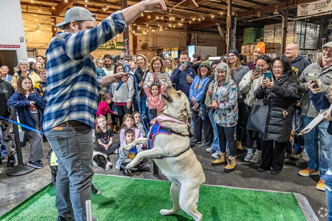 Castle Island's 2nd annual Puppy Bowl in South Norwood is the perfect family event to enjoy some puppy tricks.