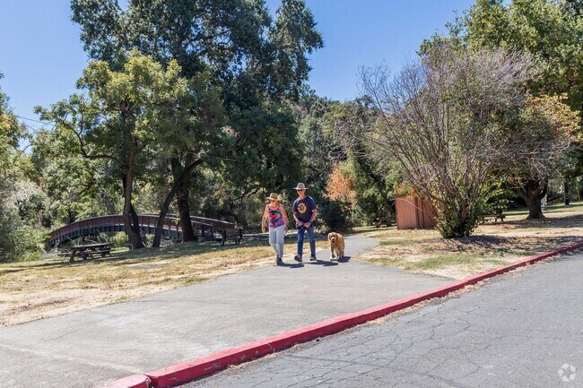 It's common to see people walking their dog in the Clear Lake Park.