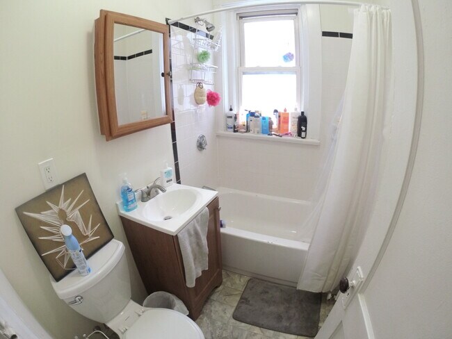 229 Freeman St unit 4, Brookline, MA 02446 - photo 4