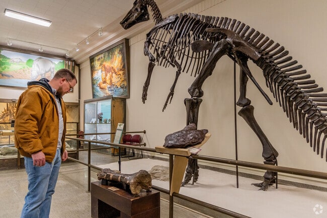 The Museum of Geology has amazing displays of real fossils in Rapid Valley.