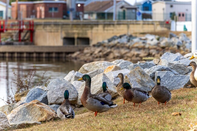 Get in touch with the natural beauty of the area at Lake Como in Smyrna.