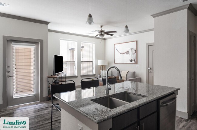 12500 Shadowglen Trace unit 10304, Manor, TX 78653 - photo 6