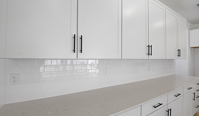 3725 Deer Ridge Dr, Mount Dora, FL 32757 - photo 3