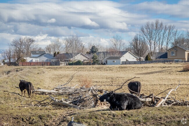 Enjoy living the rural small town life right in your own backyard in Middleton.