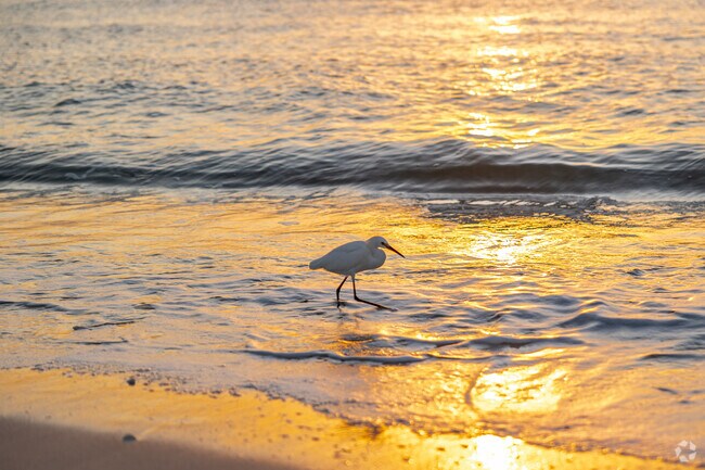 Beautiful sunsets can be seen at Clam Pass and Vanderbilt Beach near Pine Ridge.