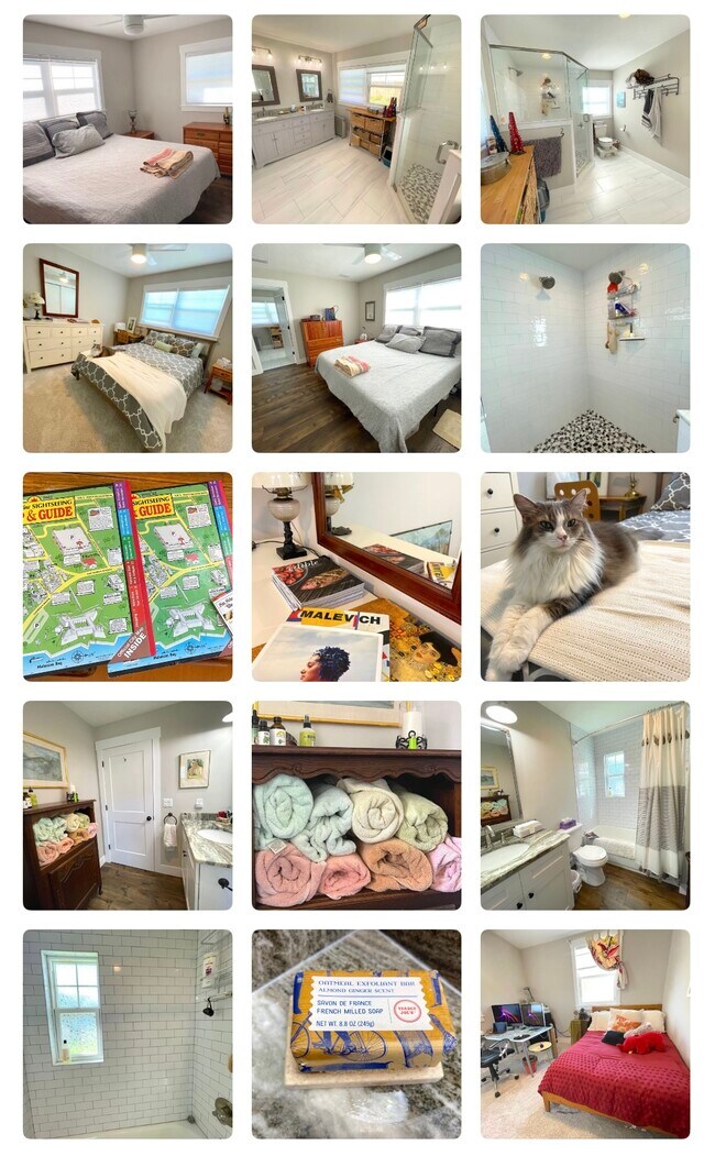 60 Julia St, Saint Augustine, FL 32084 - photo 5