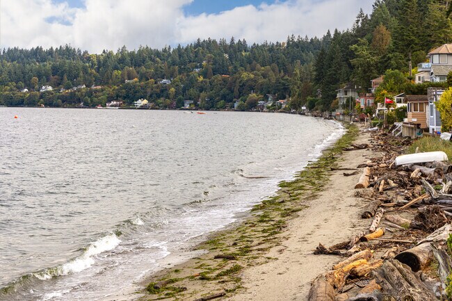 Beachcombing is a hobby for the residents of Three Tree Point.