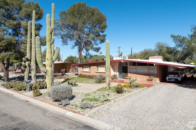Many EL GHEKO yards have large saguaro cacti in them.