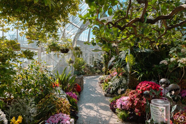 W.W.Seymour Conservatory offers an opportunity to get back to nature in downtown Tacoma.