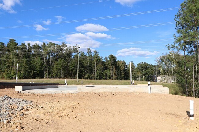 2317 Bee Orchard St, Apex, NC 27502 - photo 6