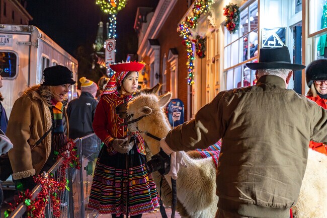See the alpacas at Midnight Madness close to Forest Villa.