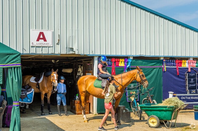 Learn how to ride horses at HITS Lamplight Equestrian Center near Dunham Castle.
