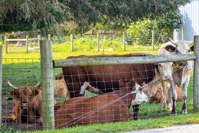 Pittsgrove's large lots allow residents to have plenty of space for a horse or cattle farm.