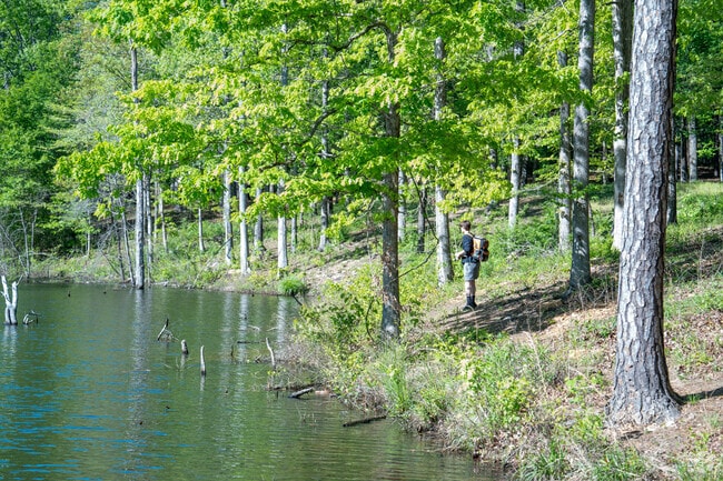 Catch a big bass at Eagles Point Park in Jasper.
