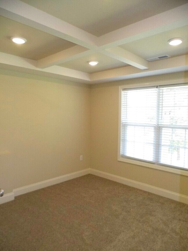The Master bedroom coffered ceiling, large double window overlooking back yard
