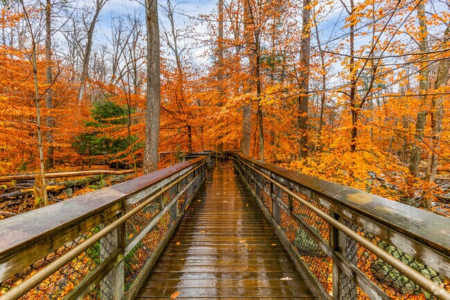 Fall colors in Catoctin Mountain Park create stunning seasonal views.