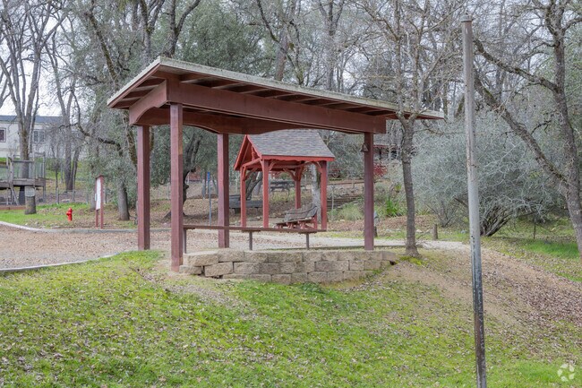 Students at Cedar Springs Waldorf school are 50 percent male and 50 percent female.