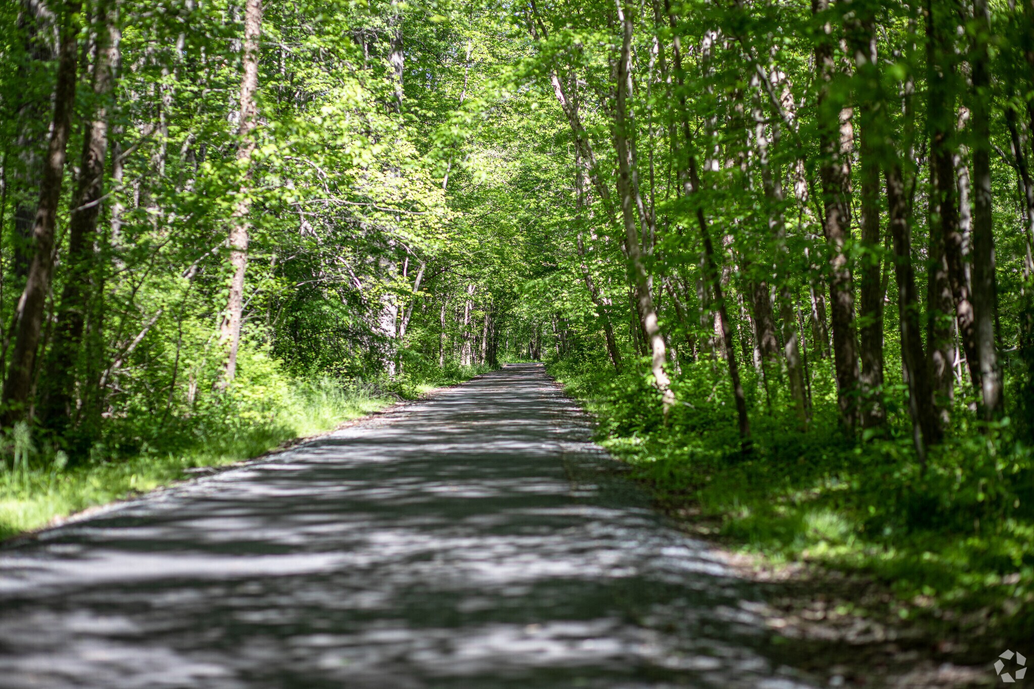 About Mantua Schools, Demographics, Things to Do