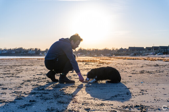 Jeff and his collie Bizzy get their zoomies out along the beach near Fifth Ward.