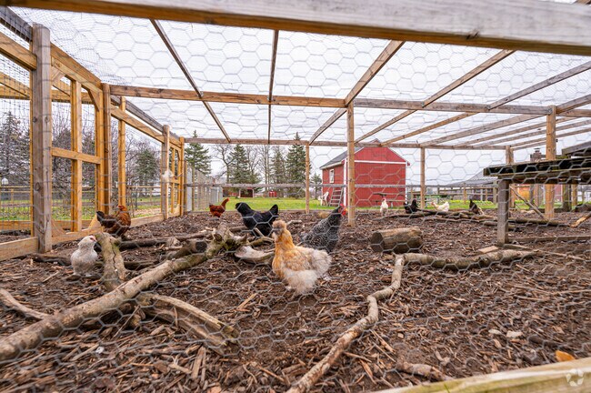 Fort Wayne's Salomon Farm has many animals to visit.