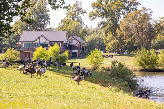 Geese and wildlife are common sights at Miller Park near Sherman.