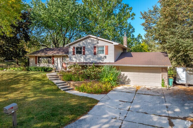 Large mature trees offer ampel shade in the Schmitt Park neighborhood.