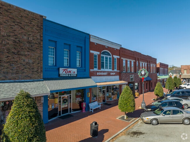 There are several small businesses located in downtown LaFayette, Georgia.