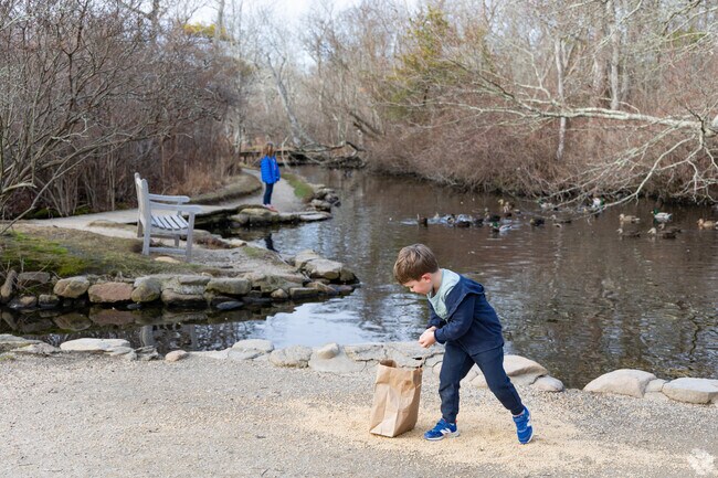 East Hampton Duck Pond is a fun little sanctuary.