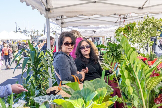 You can pick up many products at the Channel Islands Farmers Market.