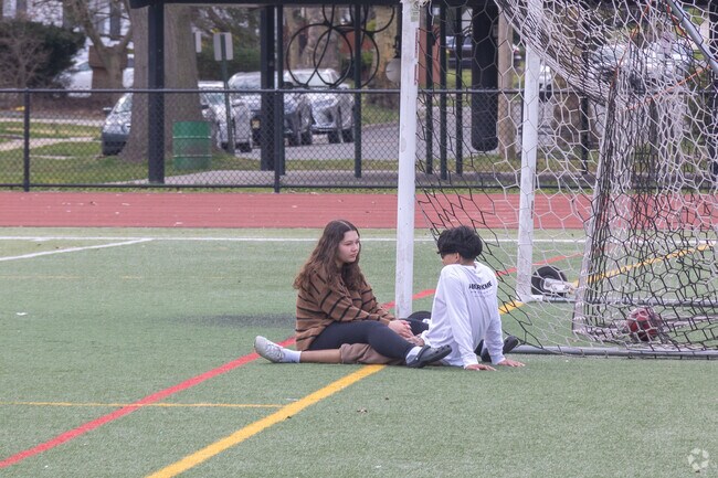 Warinanco Park in Roselle features a new artificial turf Soccer Field.