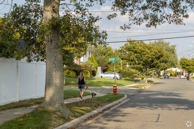 Bellmore, NY, is a typical Long Island suburb with tree-lined streets and sidewalks.