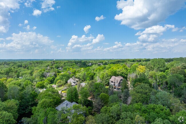 Homes peek through the canopy of the Woodland-Highland neighborhood.