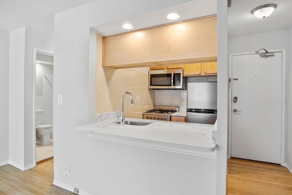 6755 N Sheridan Rd unit 344, Chicago, IL 60626 - photo 1