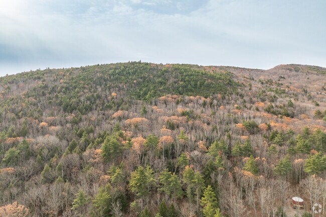 Mt. Cutler is a popular Hiram destination, offering scenic trails and rewarding views for local explorers.