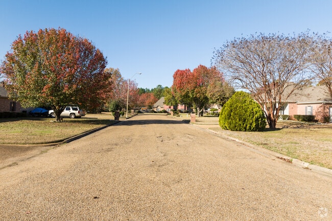 Some neighborhoods in North Jackson feature wide streets for additional parking.