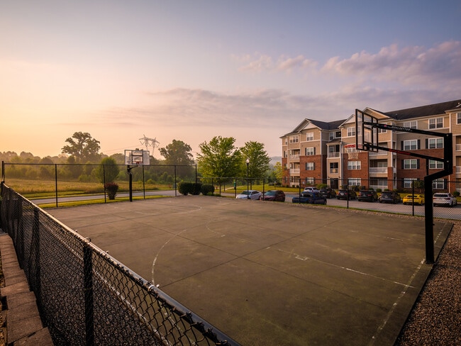 Basketball Court