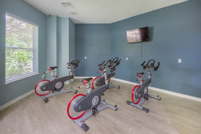 Versant Place Apartments, Brandon, FL 33511 - photo 7