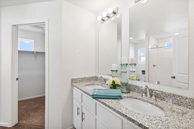 5699 Dakan Loop, Colorado Springs, CO 80938 - photo 6