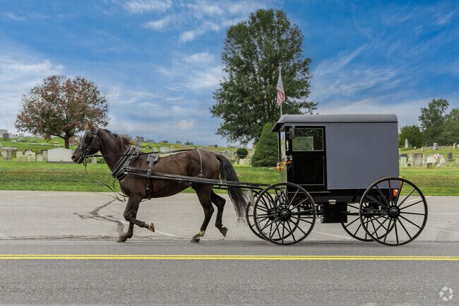There are some Amish farms in the Franklin area.